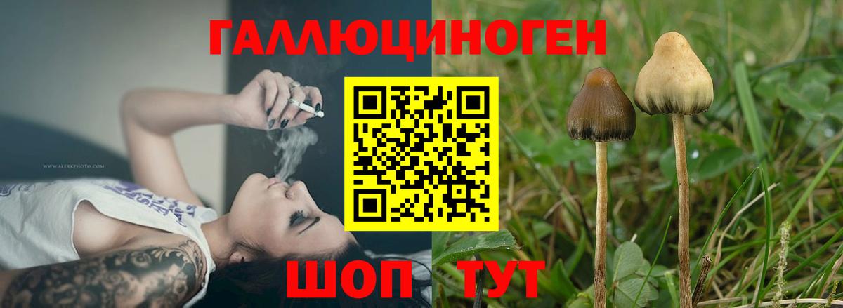 Донецк  Псилоцибиновые грибы Magic Shrooms  Галлюциногенные грибы Magic Shrooms  Вход с VPN 